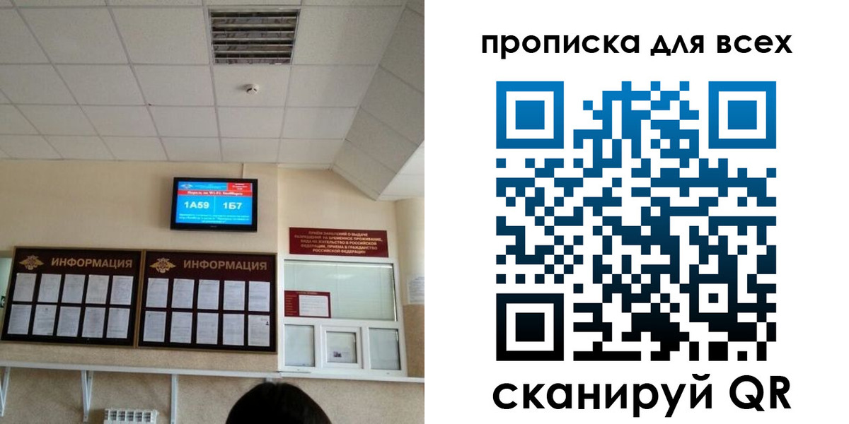 прописка в Бабаево